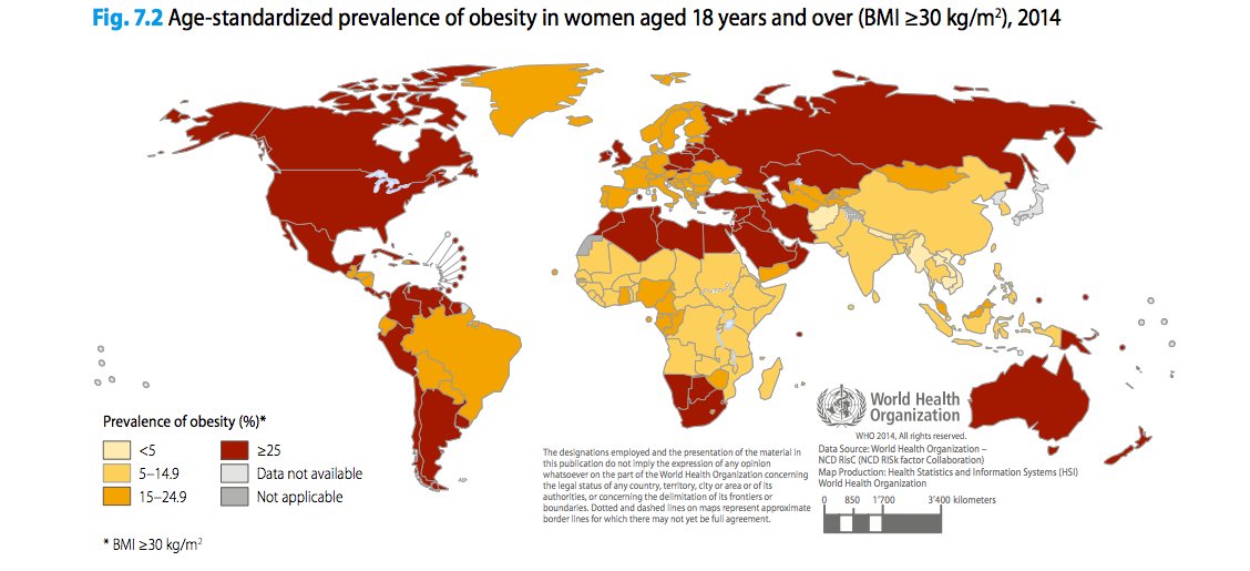 Female obesity
