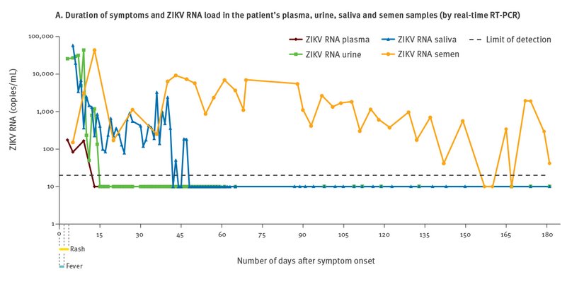 Zika in bodily fluids