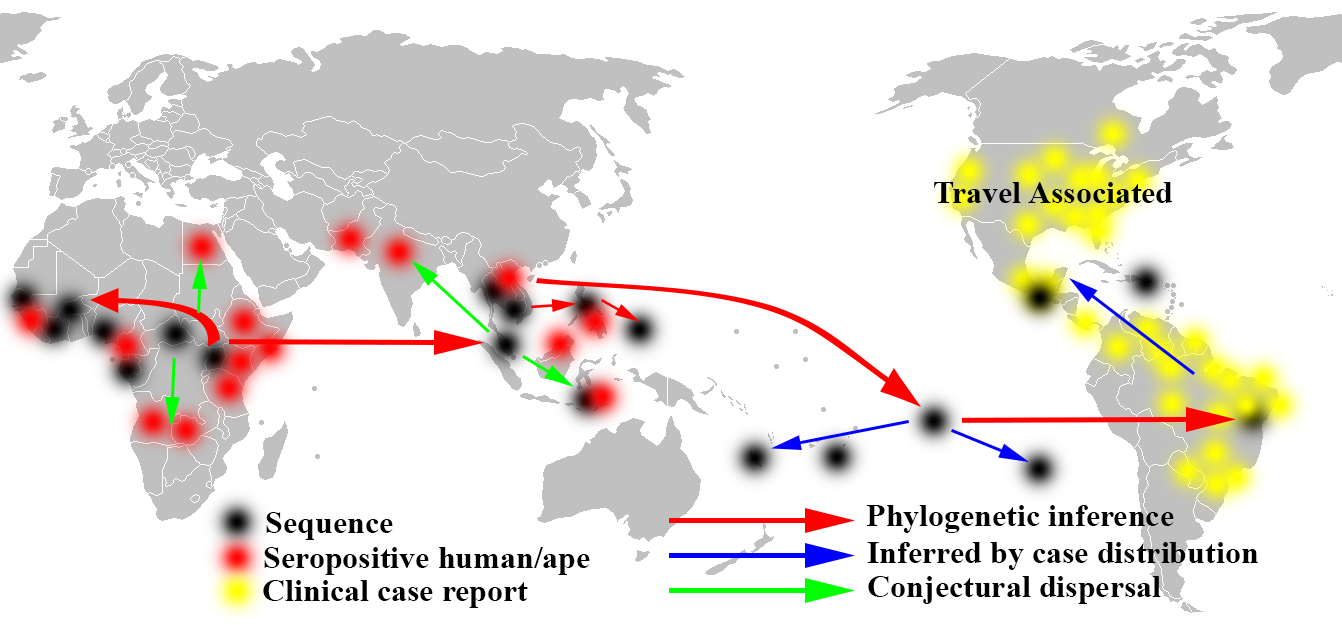 Zika Map