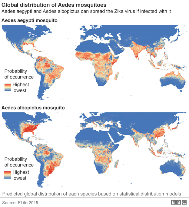 Zika mosquito maps