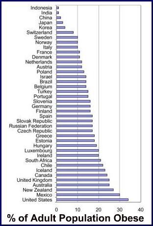 Global obesity