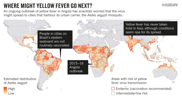 Yellow Fever Map