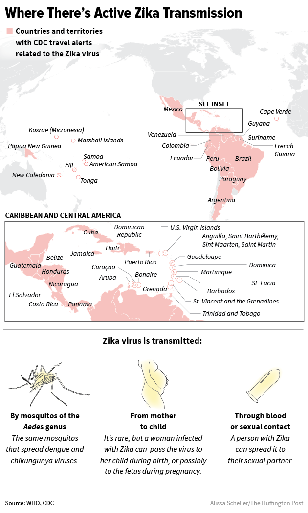 Active Zika 8/2016