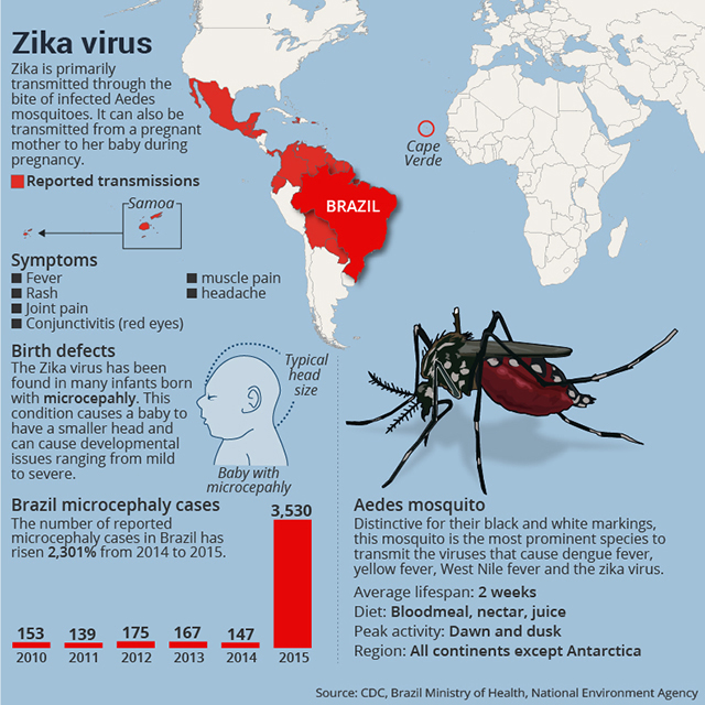 Zika Virus