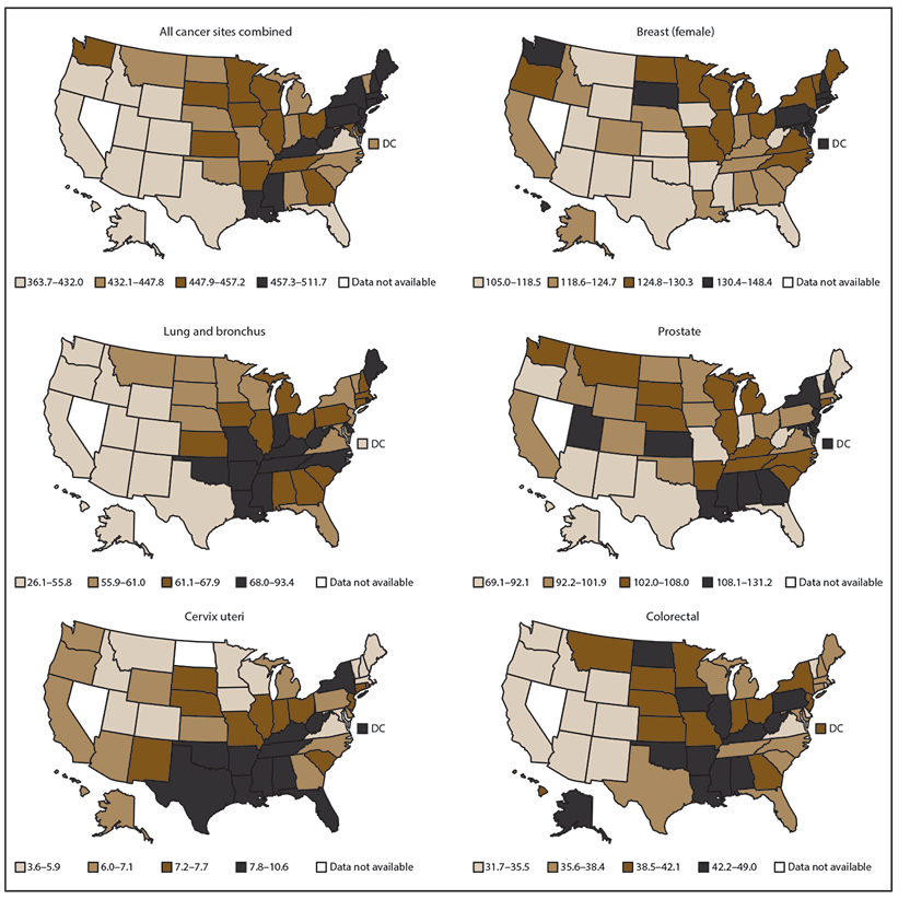 Invasive Cancer 2013