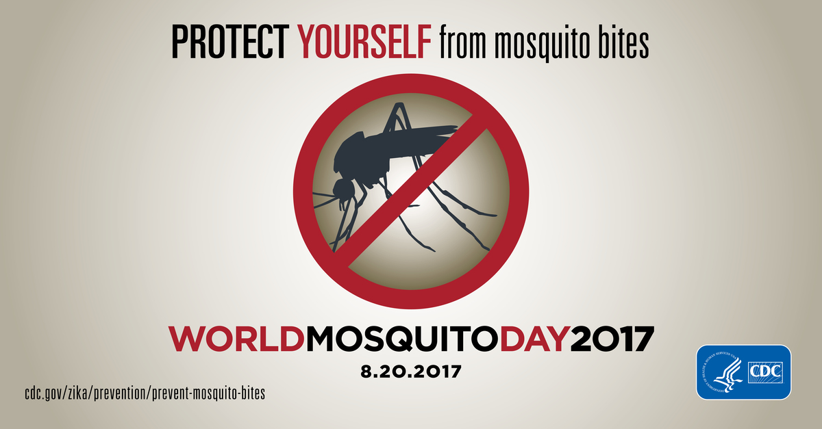 World Mosquito Day