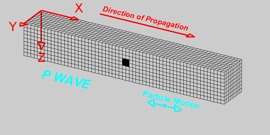 Earthquake P Waves