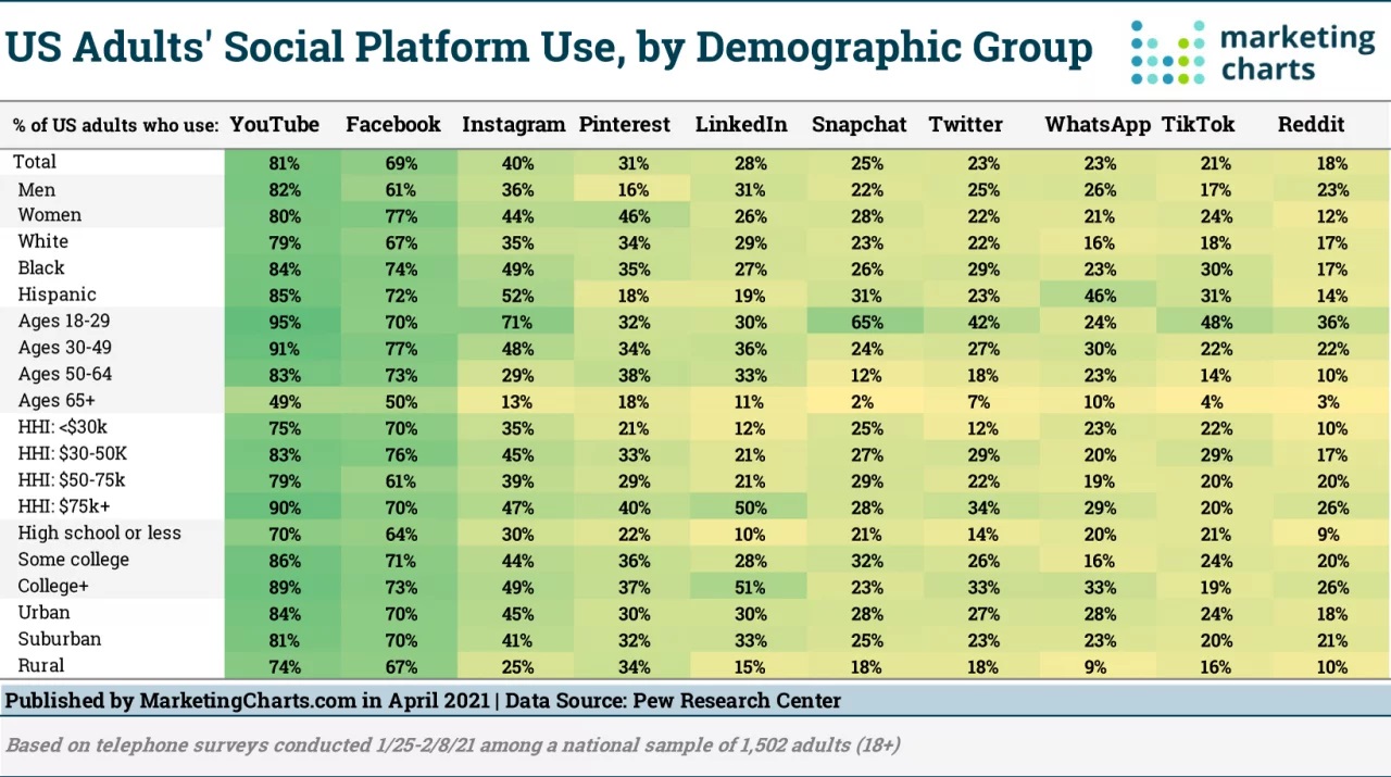 Social Platform by Demographic Group