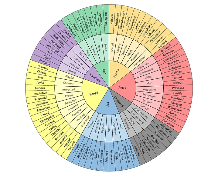 Feelings Wheel