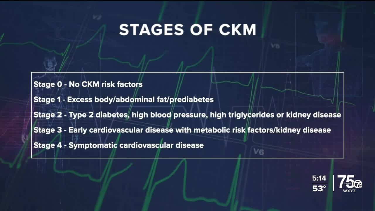 CKM Syndrome Stages