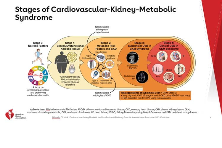 CKM Syndrome