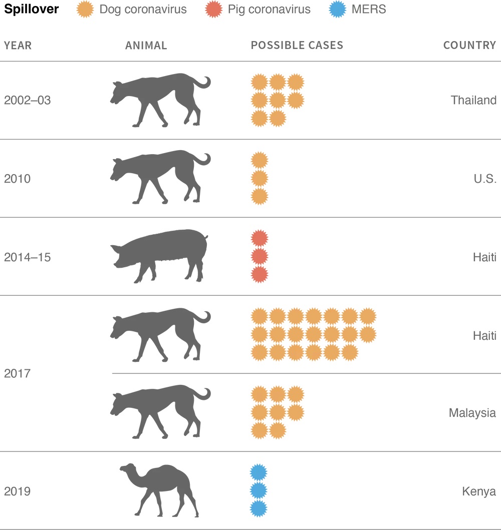New viruses in humans