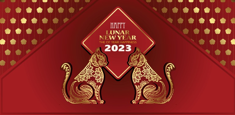 Year of the Cat