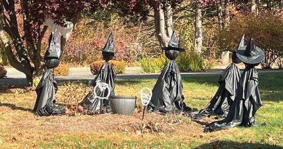 Just the Coven