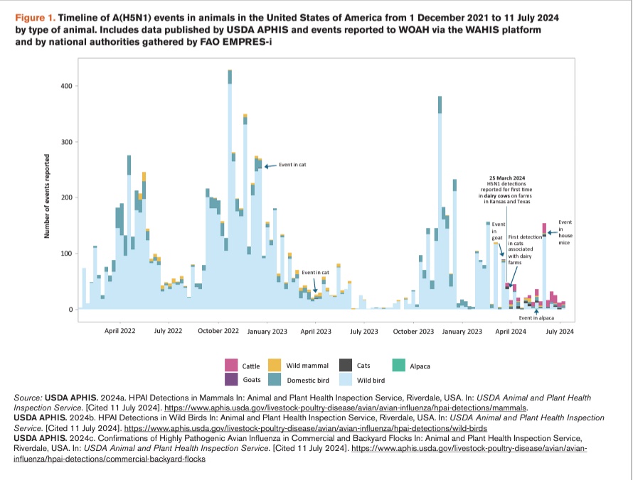 FAO - US Cattle Bird Flu Timeline