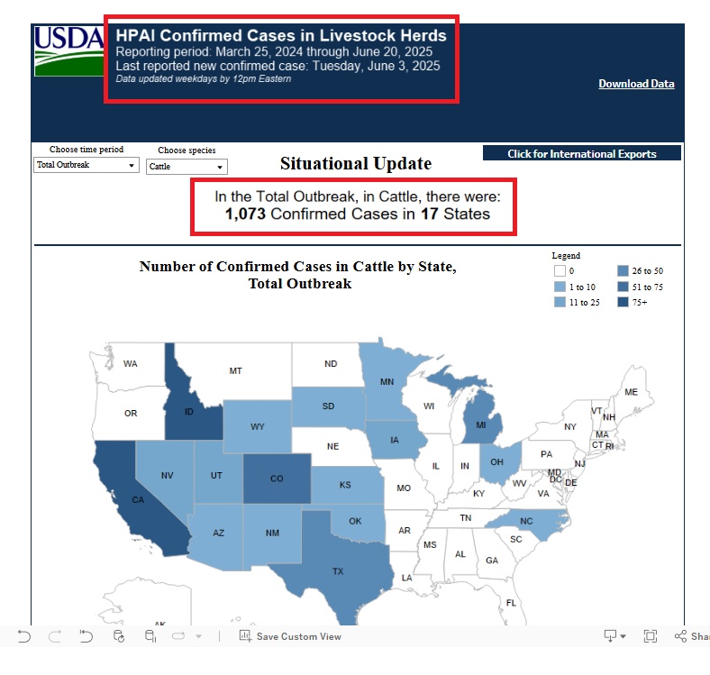 H5N1 in cattle