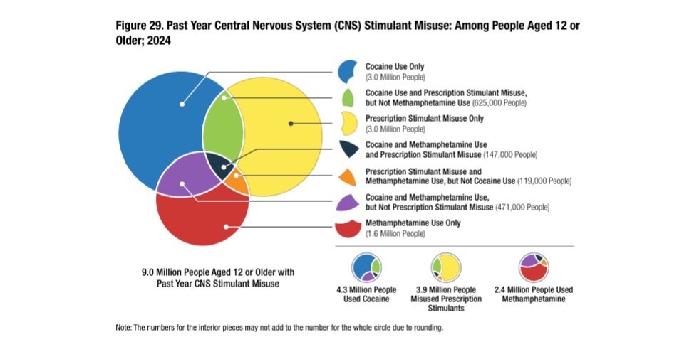 Past Year Central Nervous System (CNS) Stimulant Misuse: Among People Aged 12 or Older; 2024