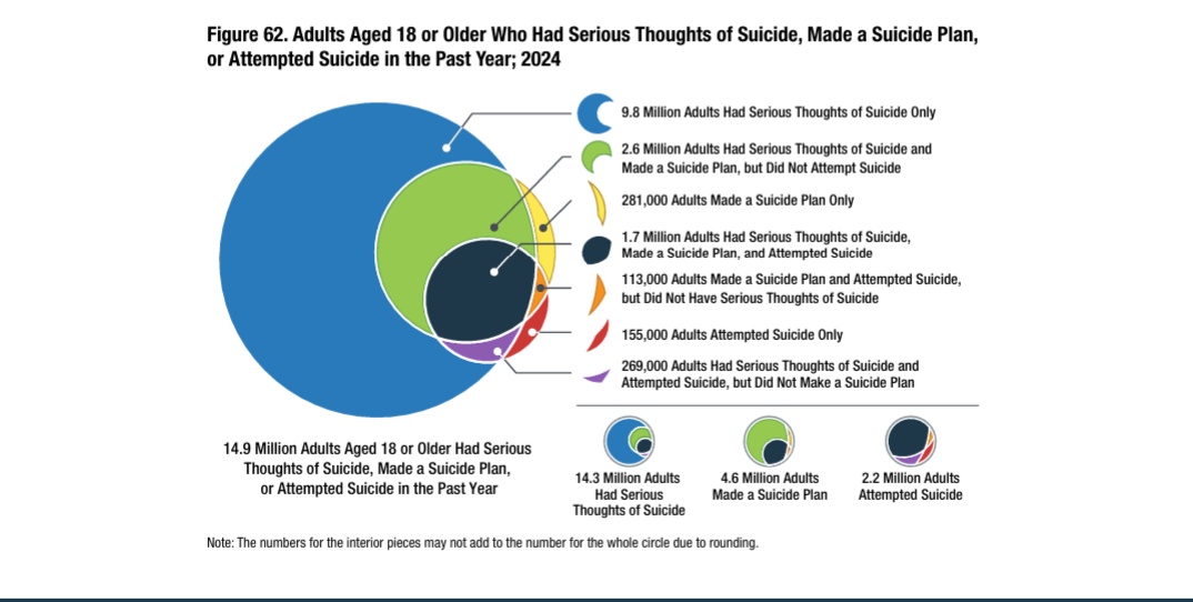 Adults Aged 18 or Older Who Had Serious Thoughts of Suicide, Made a Suicide Plan, or Attempted Suicide in the Past Year; 2024