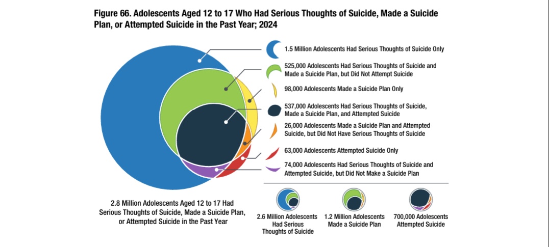 Adolescents Aged 12 to 17 Who Had Serious Thoughts of Suicide, Made a Suicide Plan, or Attempted Suicide in the Past Year; 2024