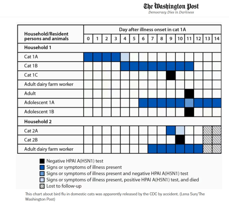 Human-Cat Transmission