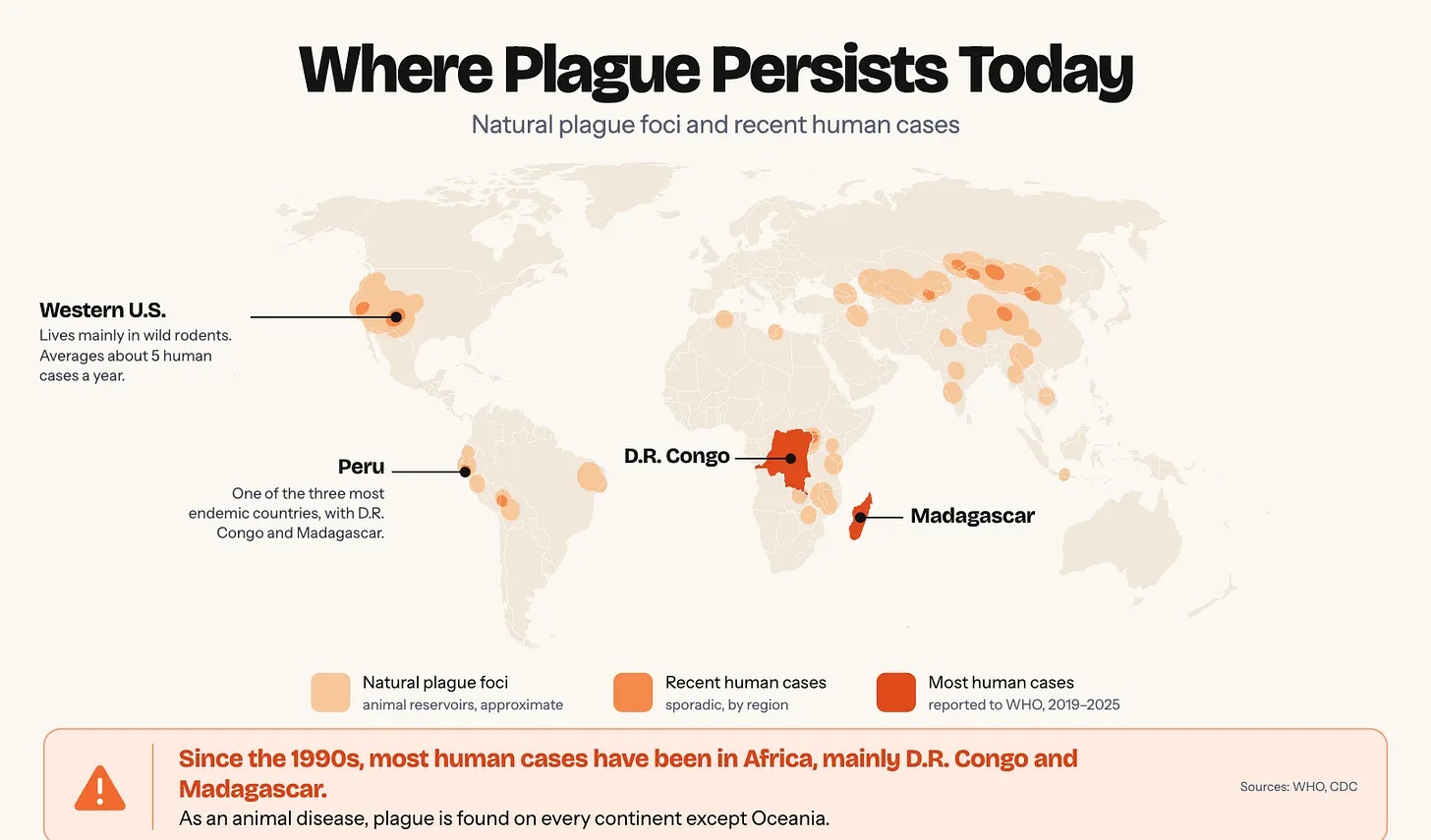 Plague Persists