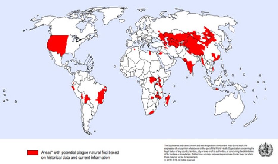WHO Plague Map