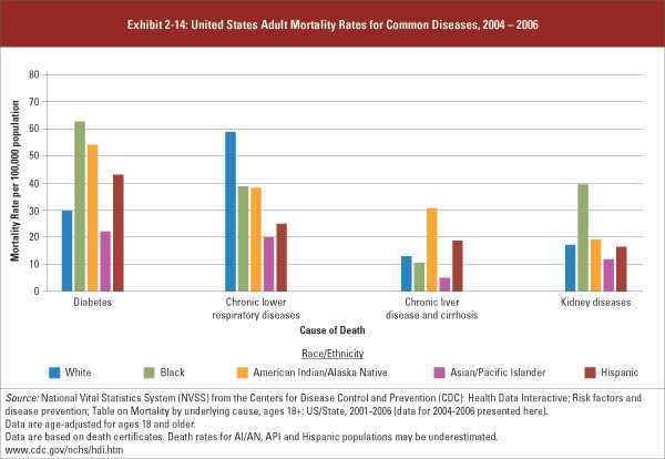 United States Adult Mortality Rates for Common Diseases, 2004-2006