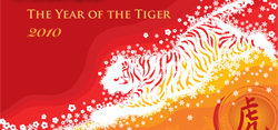 SCSU homepage year of the tiger graphic